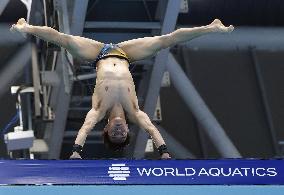 World aquatics championships