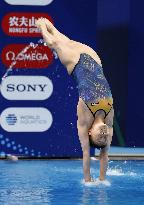 World aquatics championships