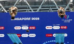 World aquatics championships