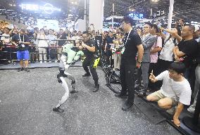 Unitree Boxing Robot at 2025 WAIC in Shanghai