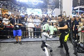 Unitree Boxing Robot at 2025 WAIC in Shanghai