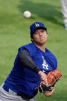 Baseball:Shohei Ohtani