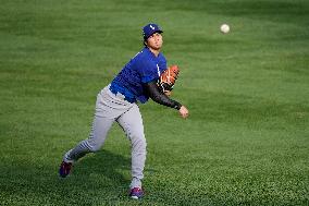 Baseball:Shohei Ohtani