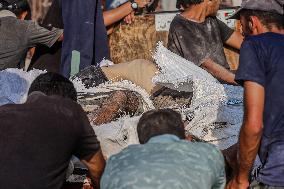 Humanitarian Aid Relief - Gaza