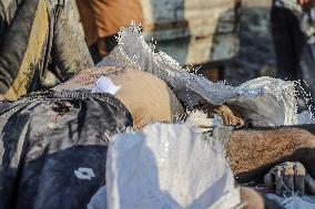 Humanitarian Aid Relief - Gaza