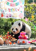Giant Panda Birthday