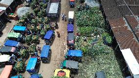 Local pineapple wholesale market in Tangail