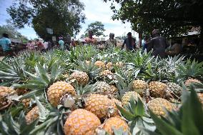 Local pineapple wholesale market in Tangail