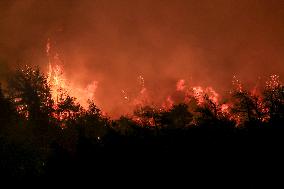 Apocalyptic Turkey Wildfires Spread By Record 50C Heatwave - Bursa