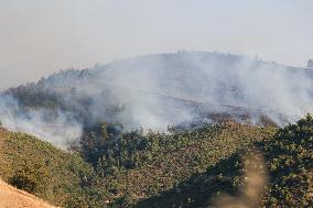 Apocalyptic Turkey Wildfires Spread By Record 50C Heatwave - Bursa