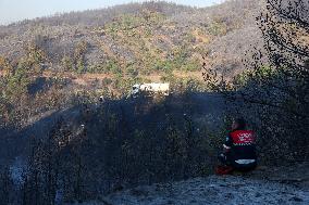 Apocalyptic Turkey Wildfires Spread By Record 50C Heatwave - Bursa