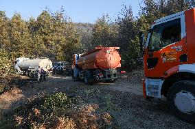 Apocalyptic Turkey Wildfires Spread By Record 50C Heatwave - Bursa