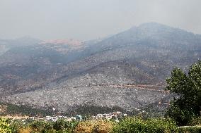 Apocalyptic Turkey Wildfires Spread By Record 50C Heatwave - Bursa