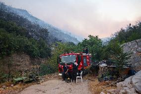 Apocalyptic Turkey Wildfires Spread By Record 50C Heatwave - Bursa