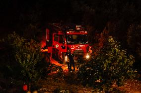 Apocalyptic Turkey Wildfires Spread By Record 50C Heatwave - Bursa