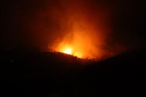 Apocalyptic Turkey Wildfires Spread By Record 50C Heatwave - Bursa