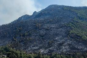 Apocalyptic Turkey Wildfires Spread By Record 50C Heatwave - Bursa