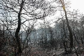 Apocalyptic Turkey Wildfires Spread By Record 50C Heatwave - Bursa