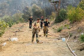 Apocalyptic Turkey Wildfires Spread By Record 50C Heatwave - Bursa