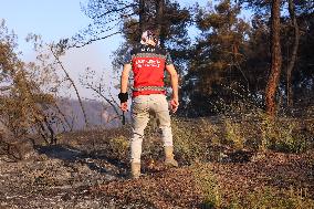 Apocalyptic Turkey Wildfires Spread By Record 50C Heatwave - Bursa