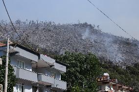 Apocalyptic Turkey Wildfires Spread By Record 50C Heatwave - Bursa