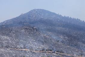 Apocalyptic Turkey Wildfires Spread By Record 50C Heatwave - Bursa