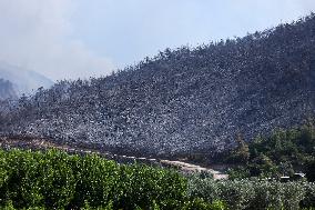 Apocalyptic Turkey Wildfires Spread By Record 50C Heatwave - Bursa