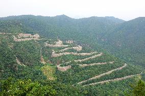 Winding Road