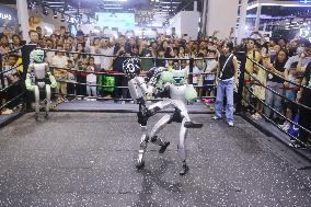 Unitree G1 Robot Fighting in 2025 WAIC in Shanghai