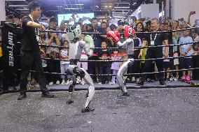 Unitree G1 Robot Fighting in 2025 WAIC in Shanghai