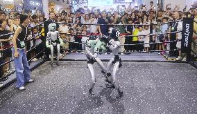 Unitree G1 Robot Fighting in 2025 WAIC in Shanghai