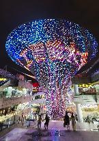 WAIC Light Show
