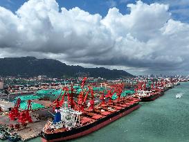 Power Coal Transportation