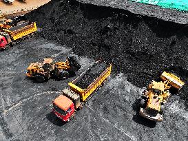 Power Coal Transportation