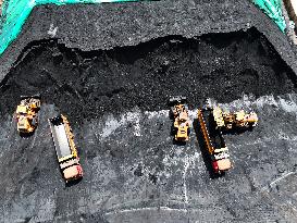 Power Coal Transportation