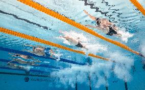 Singapore World Aquatics Championships