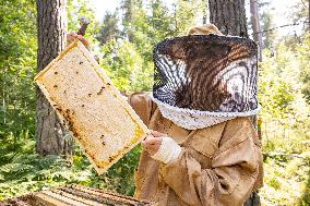 Beekeeping