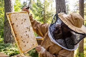 Beekeeping