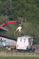 Bovine Lumpy Skin Epidemic Spreads in France - Saint Ferreol