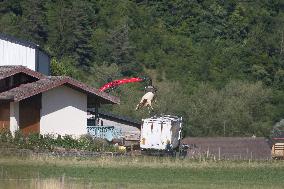 Bovine Lumpy Skin Epidemic Spreads in France - Saint Ferreol