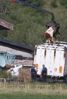 Bovine Lumpy Skin Epidemic Spreads in France - Saint Ferreol