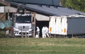 Bovine Lumpy Skin Epidemic Spreads in France - Saint Ferreol