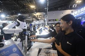 Robot Performance at 2025 WAIC in Shanghai