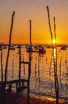 Arcachon