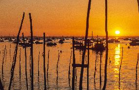 Arcachon
