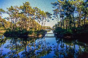 Arcachon