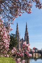 Illustration Strasbourg