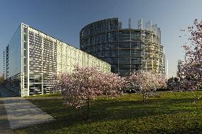 Illustration Strasbourg