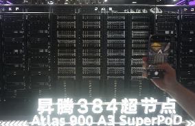 Huawei Ascend CloudMatrix 384