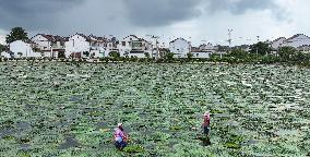 Farming